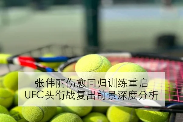 Faker季后赛中路英雄池扩展与T1战术重组观察